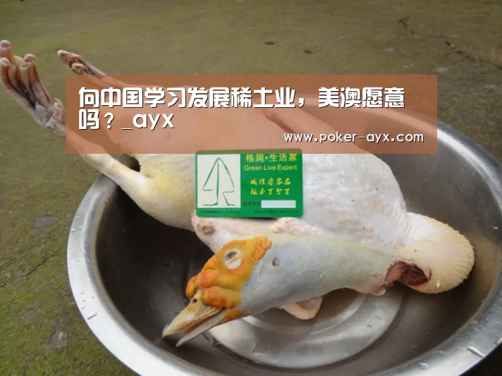 爱游戏官方入口